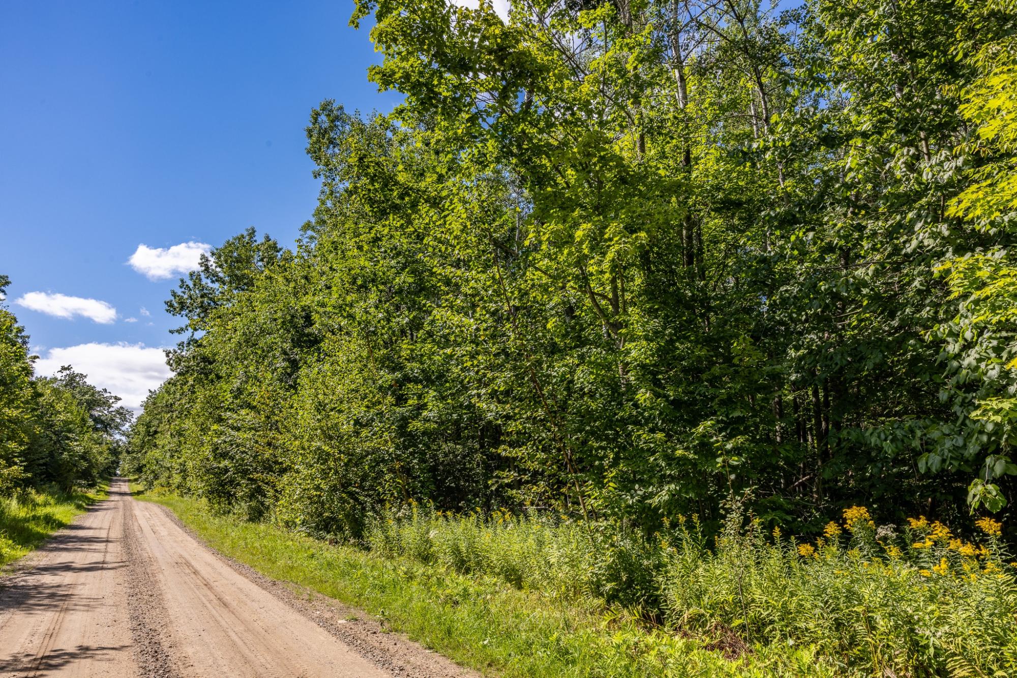 40-acres Ison Road Crandon, WI 54520 - Photo 24 of 31 Gallery Image 24