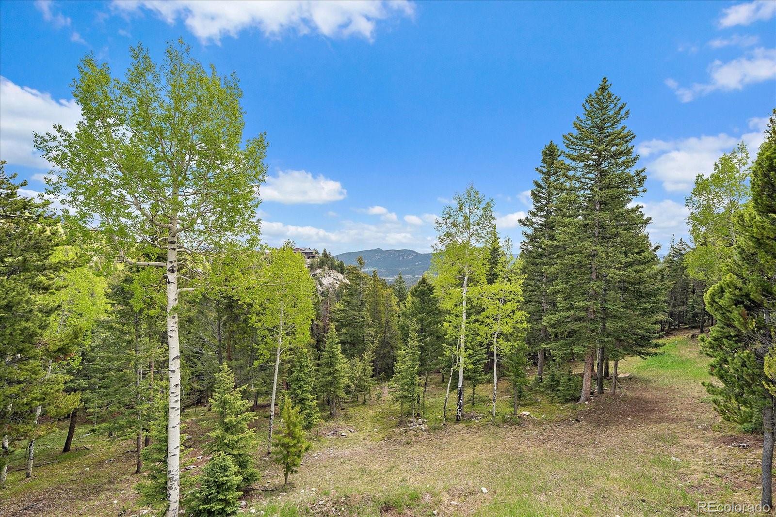 11222 Conifer Mountain Road Conifer, CO 80433 - Photo 2 of 49 a view of a forest with trees in the background