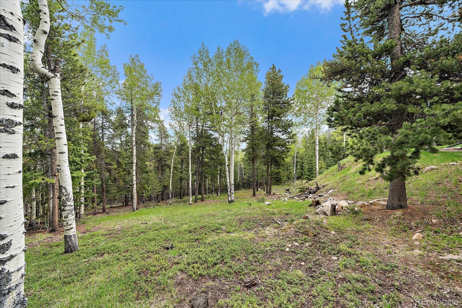 11222 Conifer Mountain Road Conifer, CO 80433 - Photo 39 of 49 a view of outdoor space with trees all around