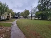 a view of a park with large trees