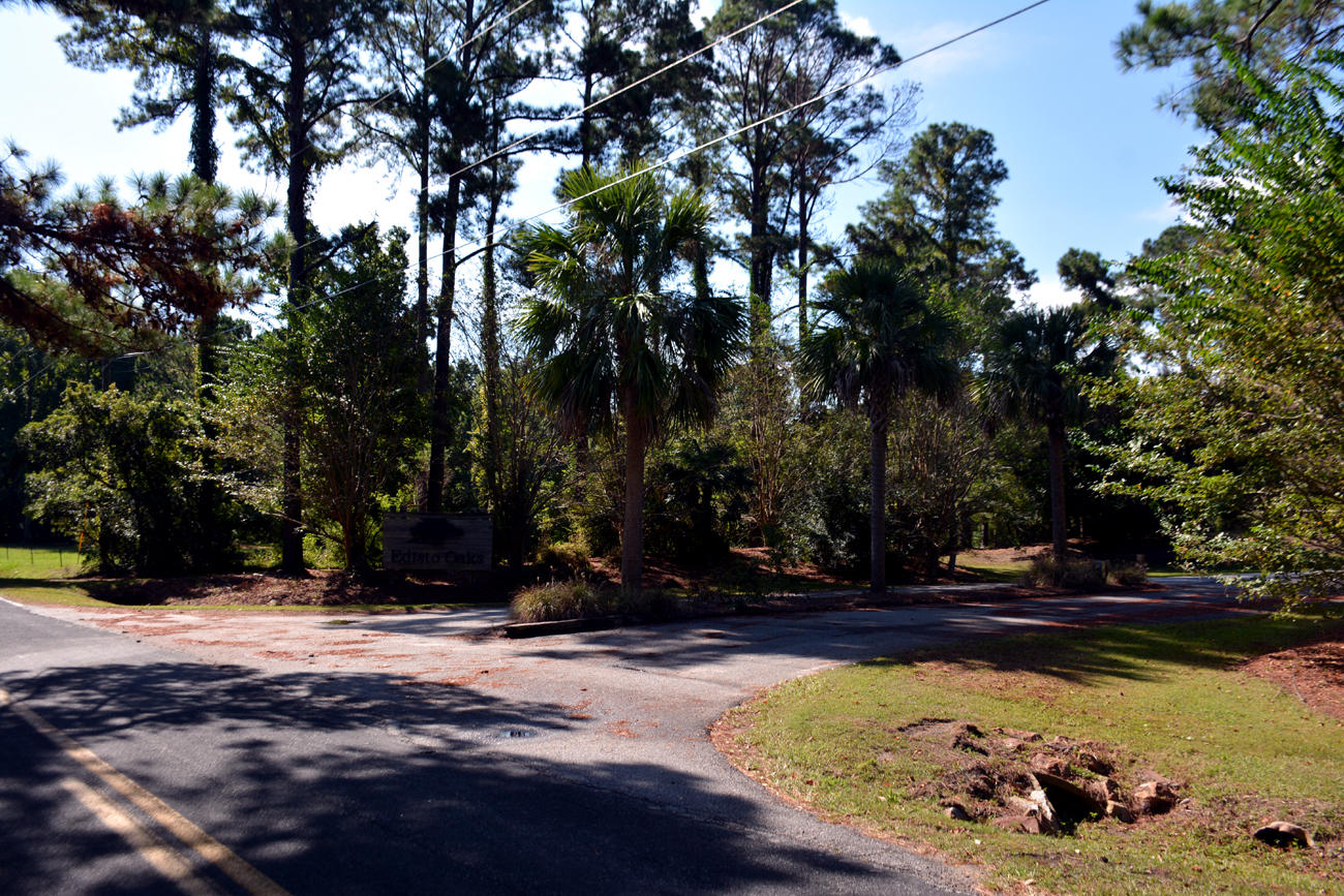 2 Blackbear Road, Unit LOT 2 Edisto Island, SC 29438 - Photo 1 of 19 DSC_5744_2775