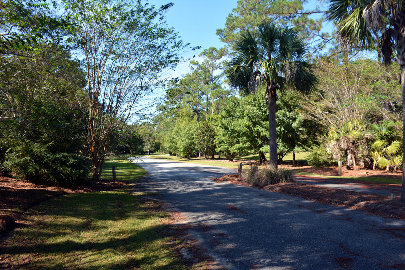 2 Blackbear Road, Unit LOT 2 Edisto Island, SC 29438 - Photo 11 of 19 DSC_5749_2780