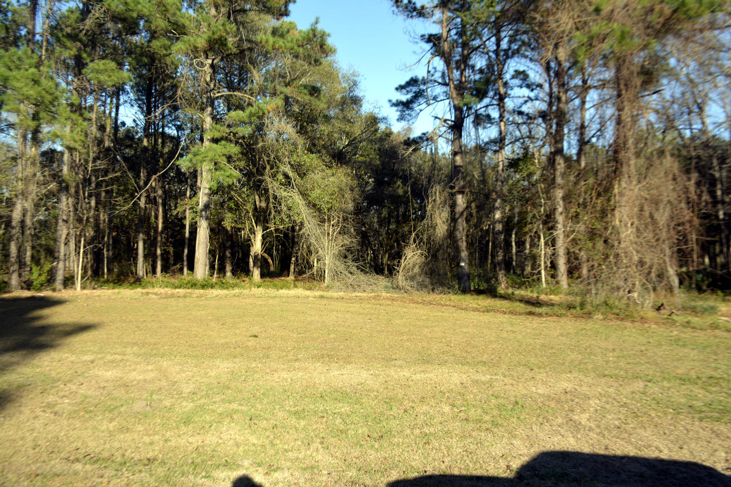 2 Blackbear Road, Unit LOT 2 Edisto Island, SC 29438 - Photo 12 of 19 _DSC6495_3447
