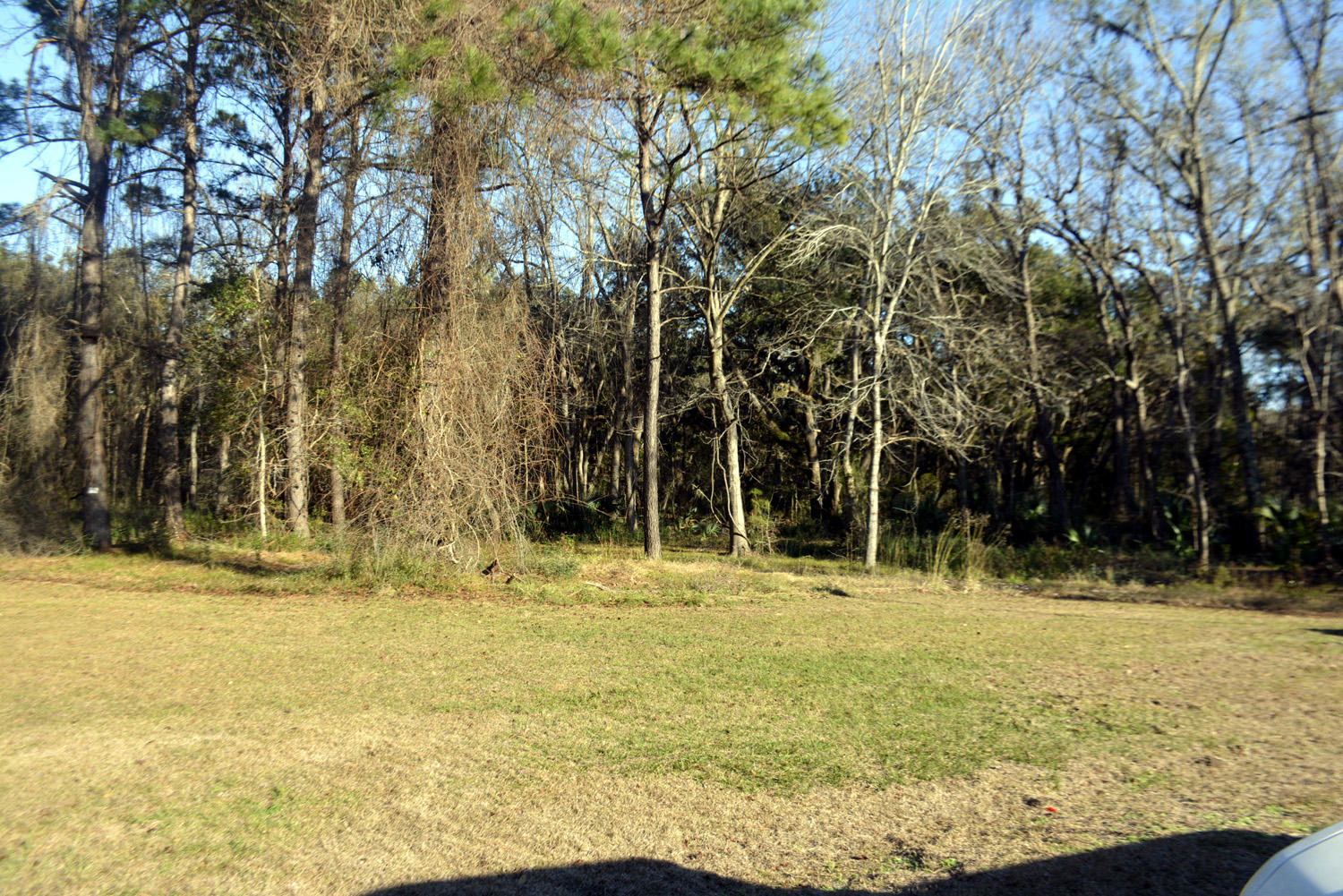 2 Blackbear Road, Unit LOT 2 Edisto Island, SC 29438 - Photo 14 of 19 _DSC6498_3450