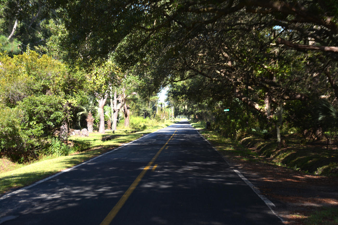 2 Blackbear Road, Unit LOT 2 Edisto Island, SC 29438 - Photo 19 of 19 DSC_5751_2782