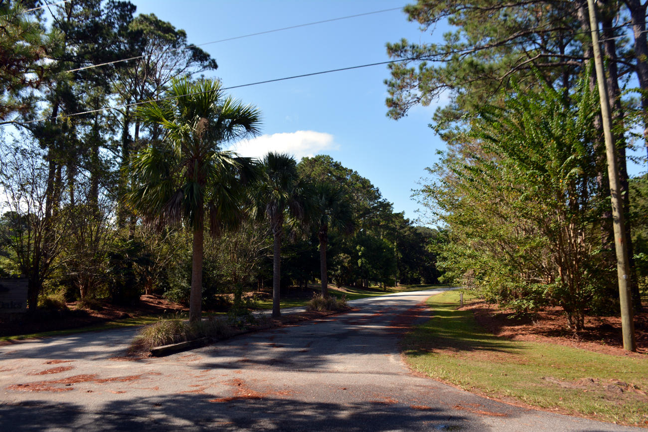 2 Blackbear Road, Unit LOT 2 Edisto Island, SC 29438 - Photo 3 of 19 DSC_5745_2776