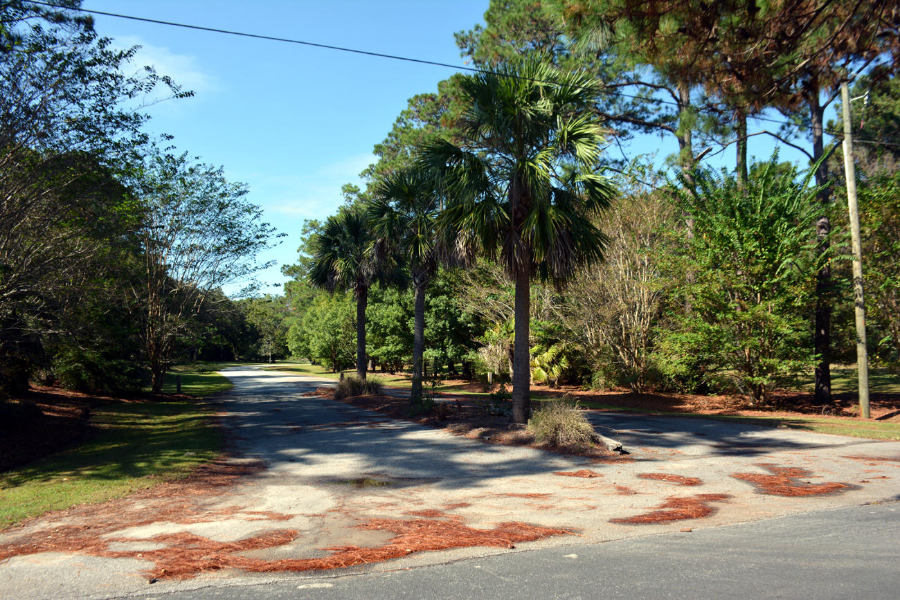 2 Blackbear Road, Unit LOT 2 Edisto Island, SC 29438 - Photo 4 of 19 DSC_5746_2777