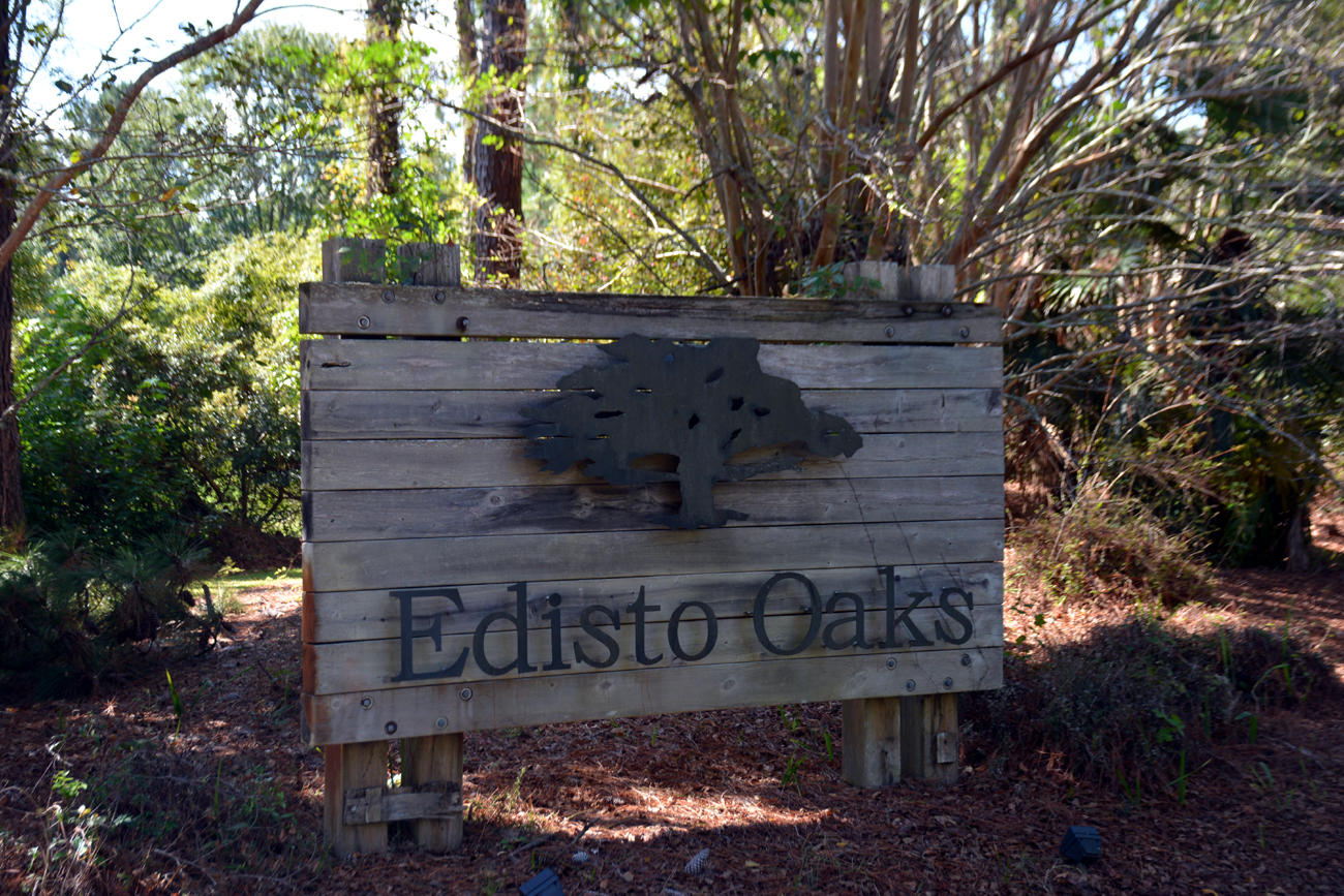 2 Blackbear Road, Unit LOT 2 Edisto Island, SC 29438 - Photo 5 of 19 DSC_5747_2778
