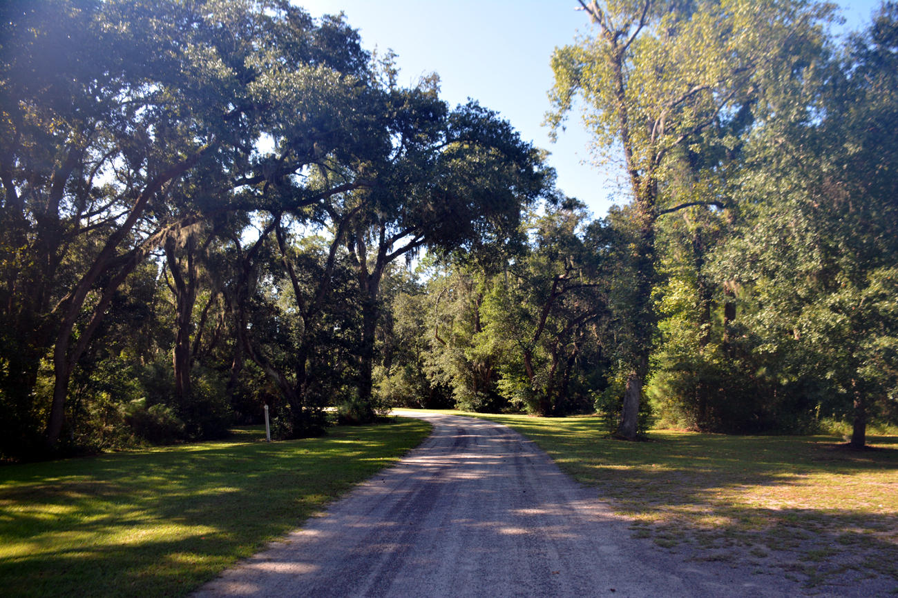 2 Blackbear Road, Unit LOT 2 Edisto Island, SC 29438 - Photo 6 of 19 DSC_5724_2755