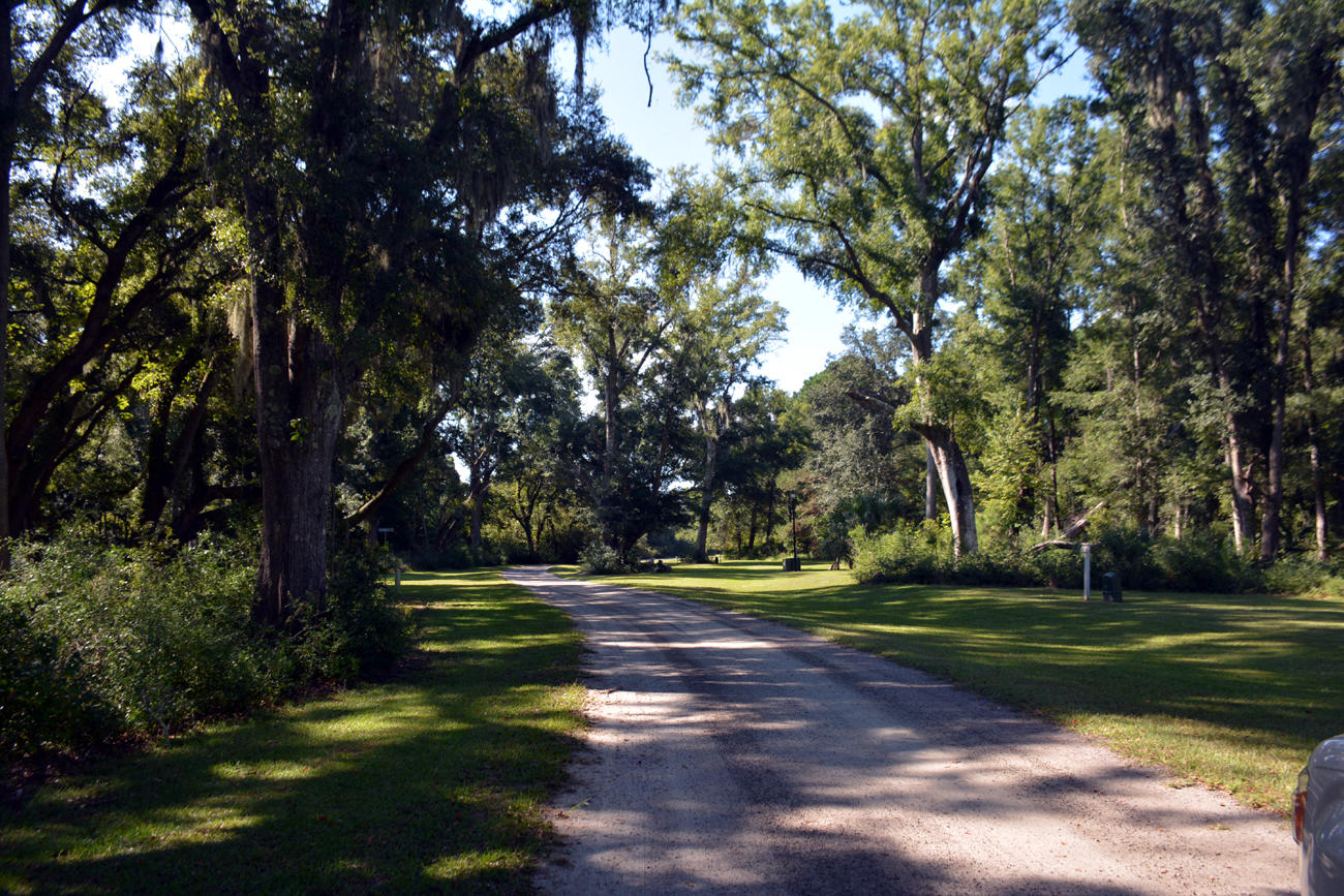 2 Blackbear Road, Unit LOT 2 Edisto Island, SC 29438 - Photo 7 of 19 DSC_5727_2758