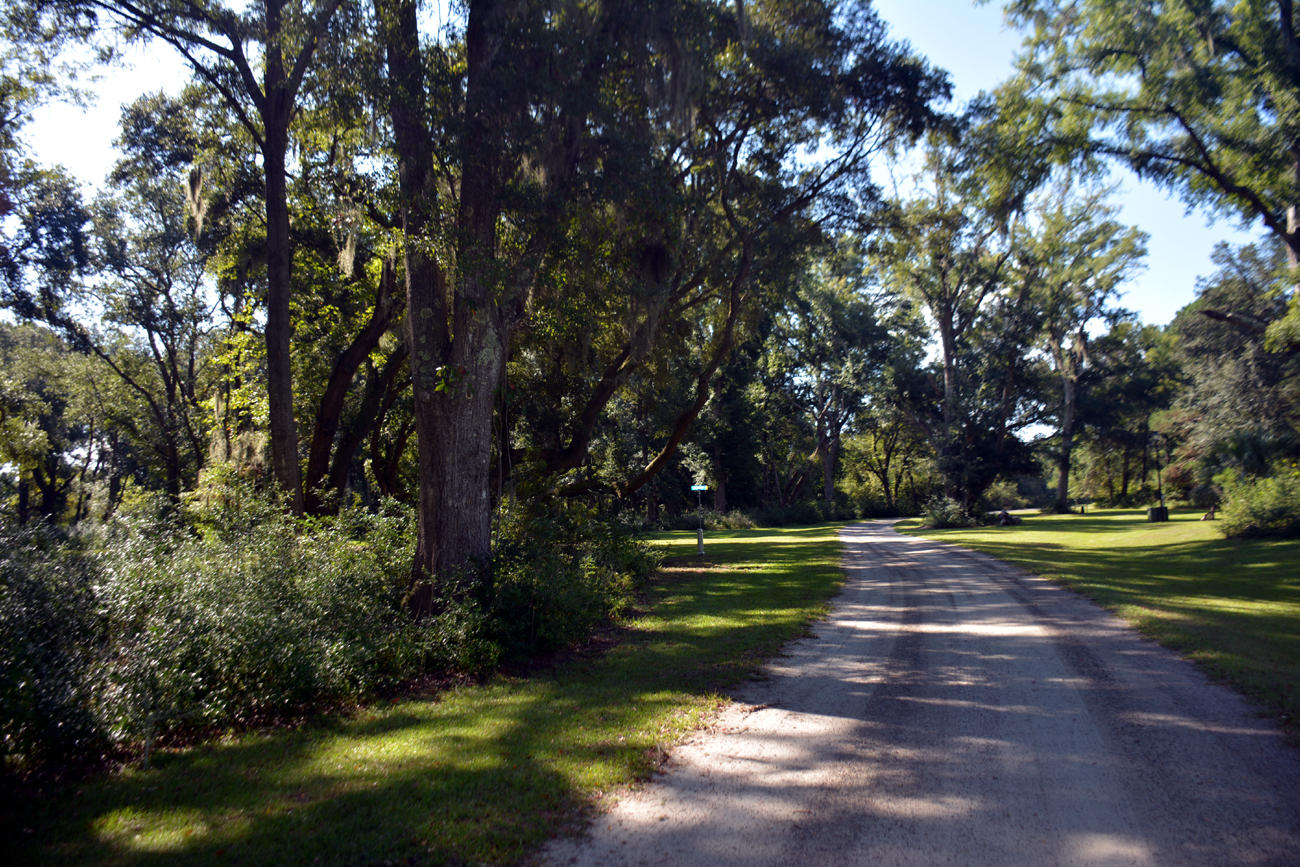 2 Blackbear Road, Unit LOT 2 Edisto Island, SC 29438 - Photo 8 of 19 DSC_5729_2760