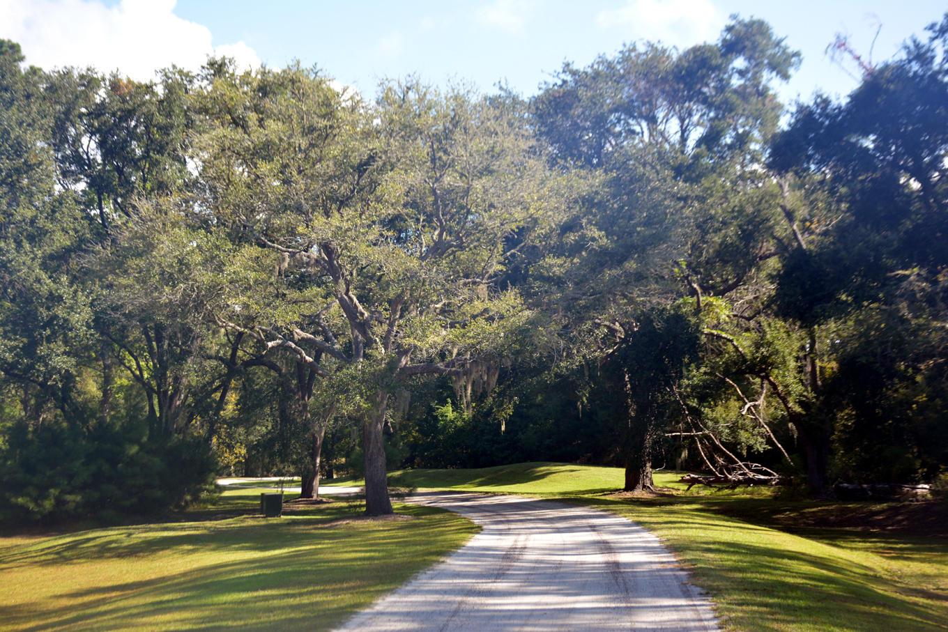 2 Blackbear Road, Unit LOT 2 Edisto Island, SC 29438 - Photo 9 of 19 DSC_5721_2752