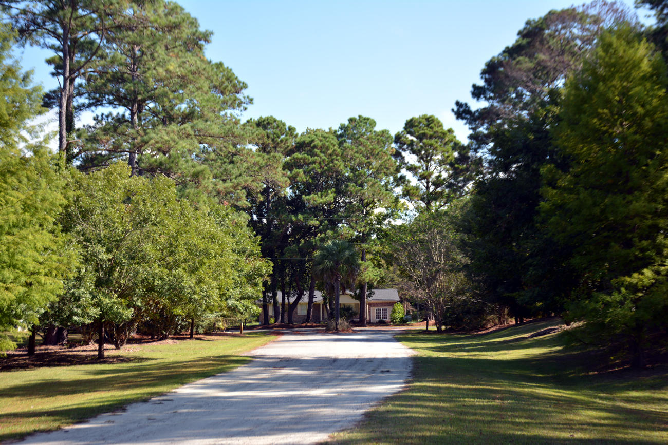 2 Blackbear Road, Unit LOT 2 Edisto Island, SC 29438 - Photo 10 of 19 DSC_5743_2774