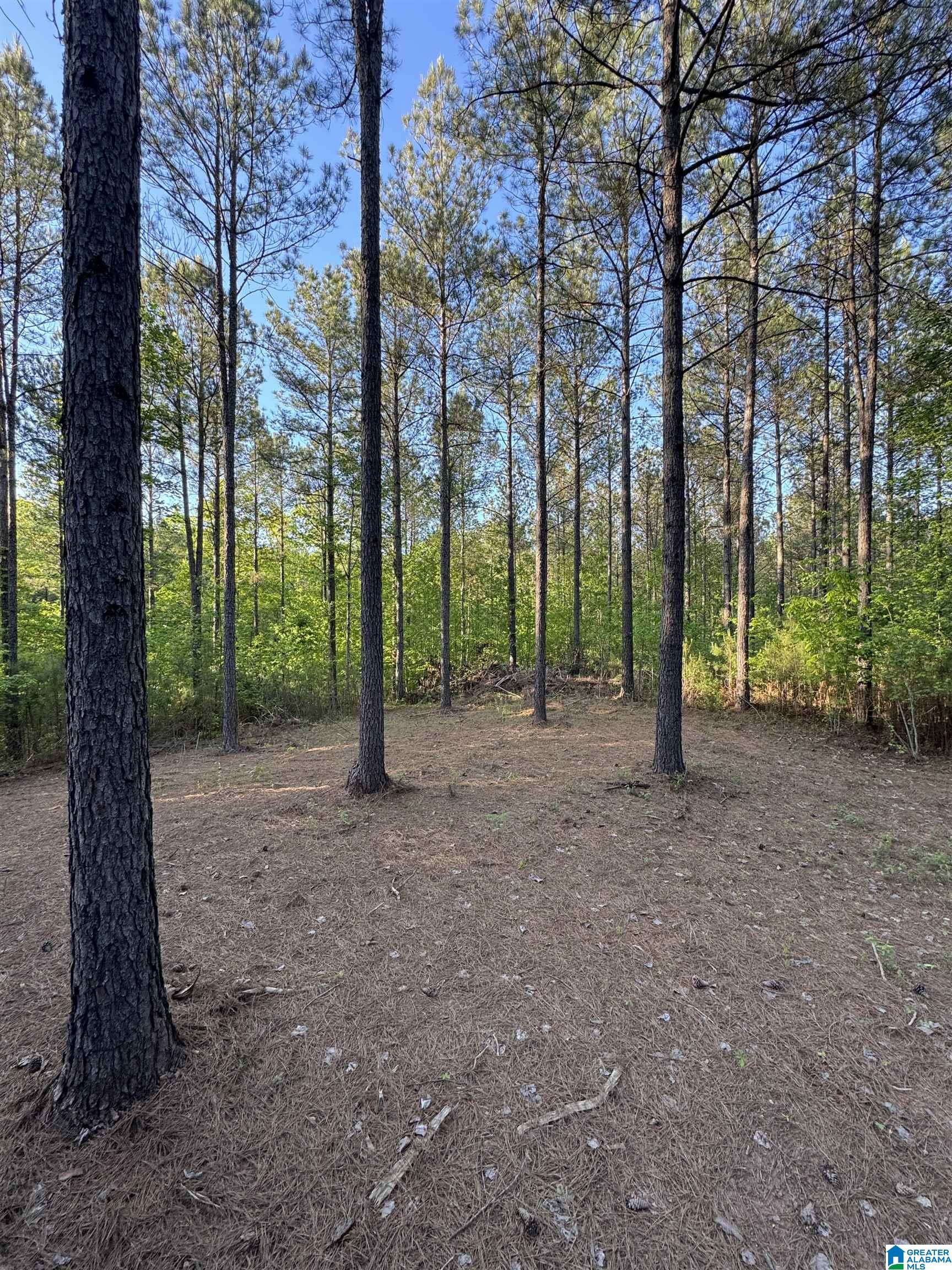 218 Foxtail Path, Unit 11F Sterrett, AL 35147 - Photo 2 of 5