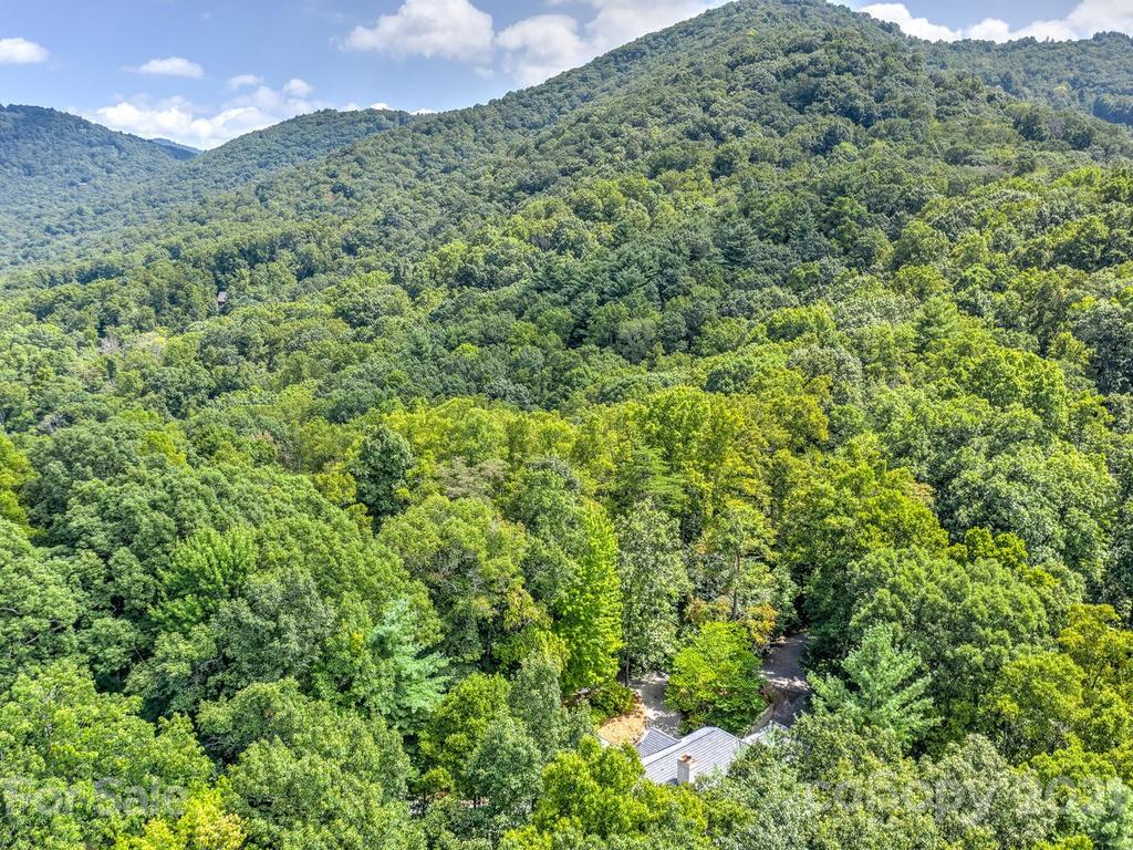 124 Hawk Ridge Asheville, NC 28804 - Photo 35 of 36 Gallery Image 35