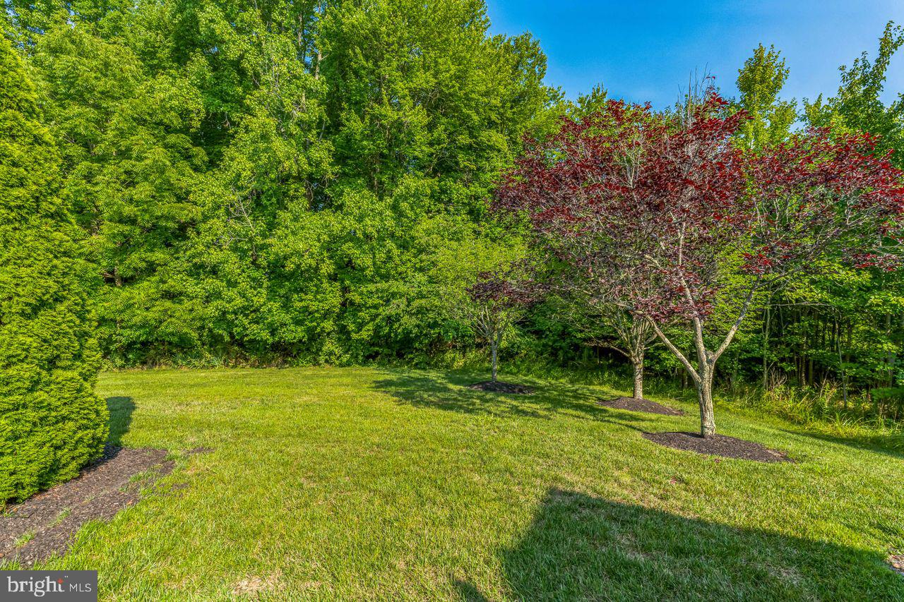 206 Derrickson Street Bear, DE 19701 - Photo 5 of 25