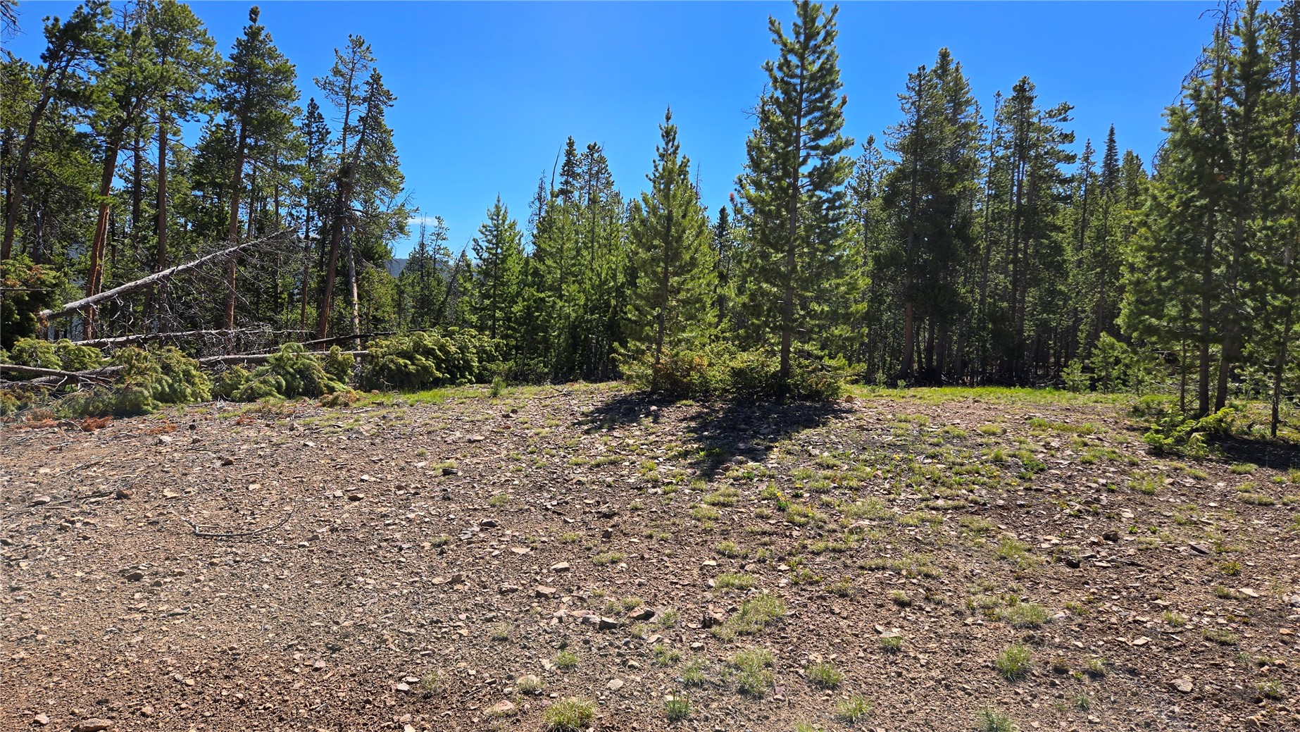 Tbd Summit Gulch Road Breckenridge, CO 80424 - Photo 9 of 30 a view of a yard with trees