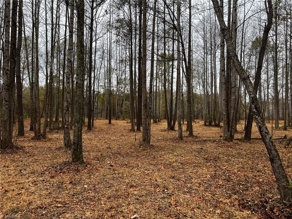 156 A Lookout Dam Road Statesville, NC 28625 - Photo 13 of 21