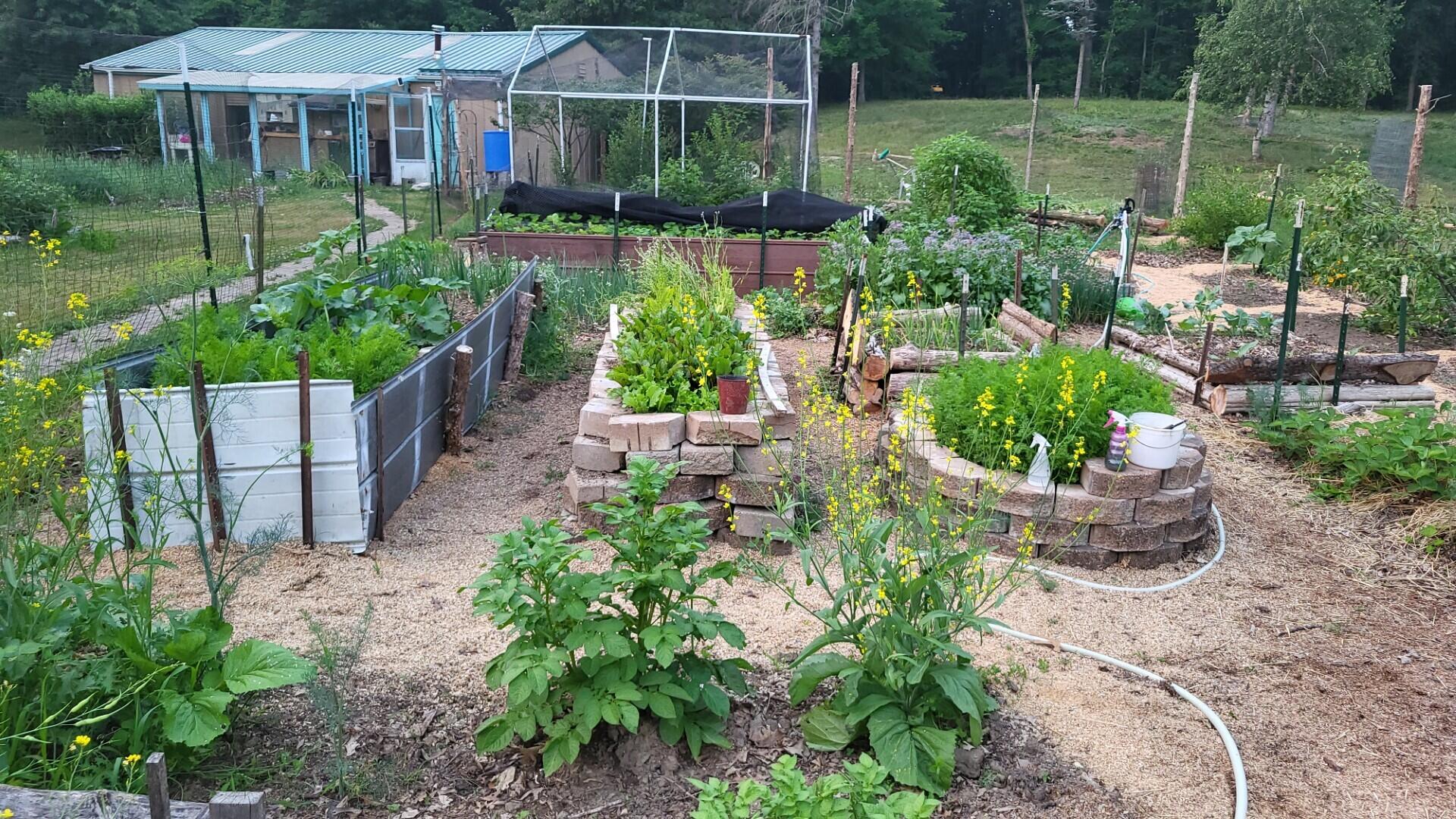 6246 Brooklyn Road Jackson, MI 49201 - Photo 56 of 72 Raised Beds in Garden area