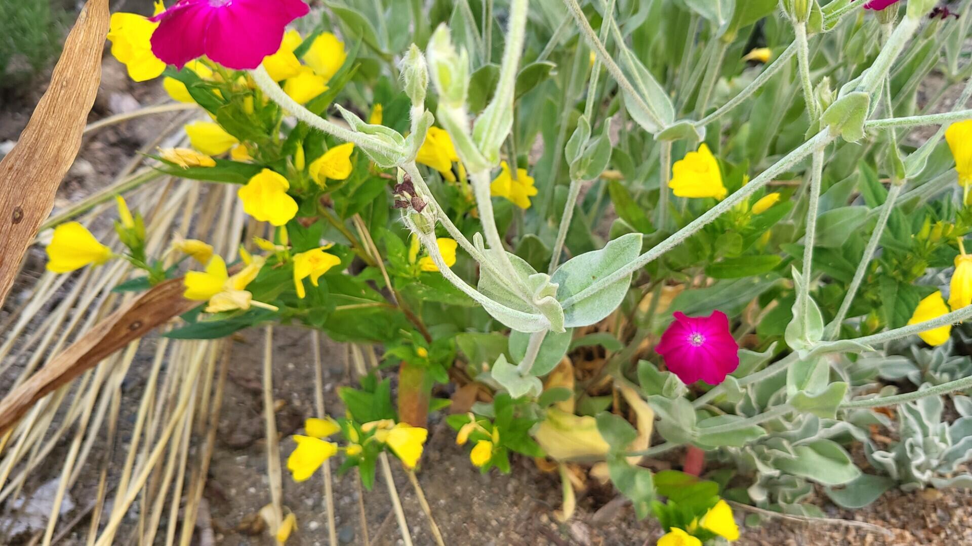 6246 Brooklyn Road Jackson, MI 49201 - Photo 60 of 72 30b4f7e9-ee02-447e-83d6-212874869ff8