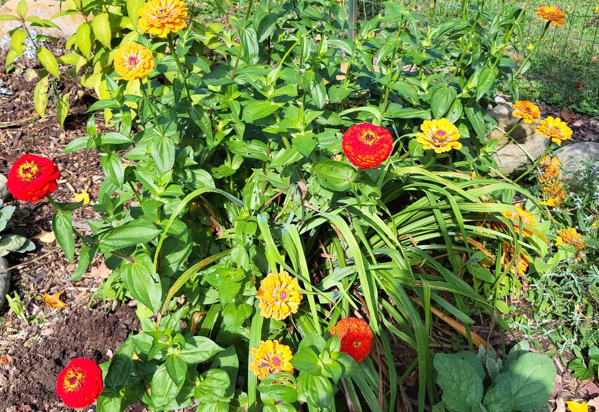 6246 Brooklyn Road Jackson, MI 49201 - Photo 61 of 72 7190eb75-82c4-44b7-9939-22c0369aac42