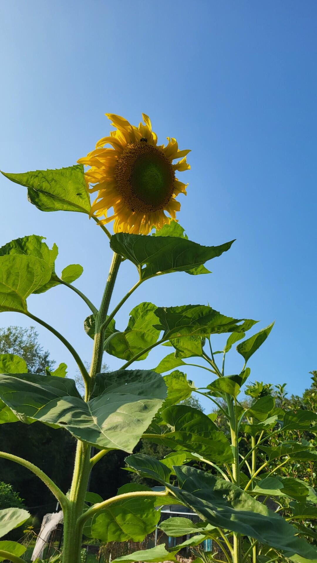 6246 Brooklyn Road Jackson, MI 49201 - Photo 64 of 72 c4d5ee9d-b39e-4b4b-9b03-937601ed49ad