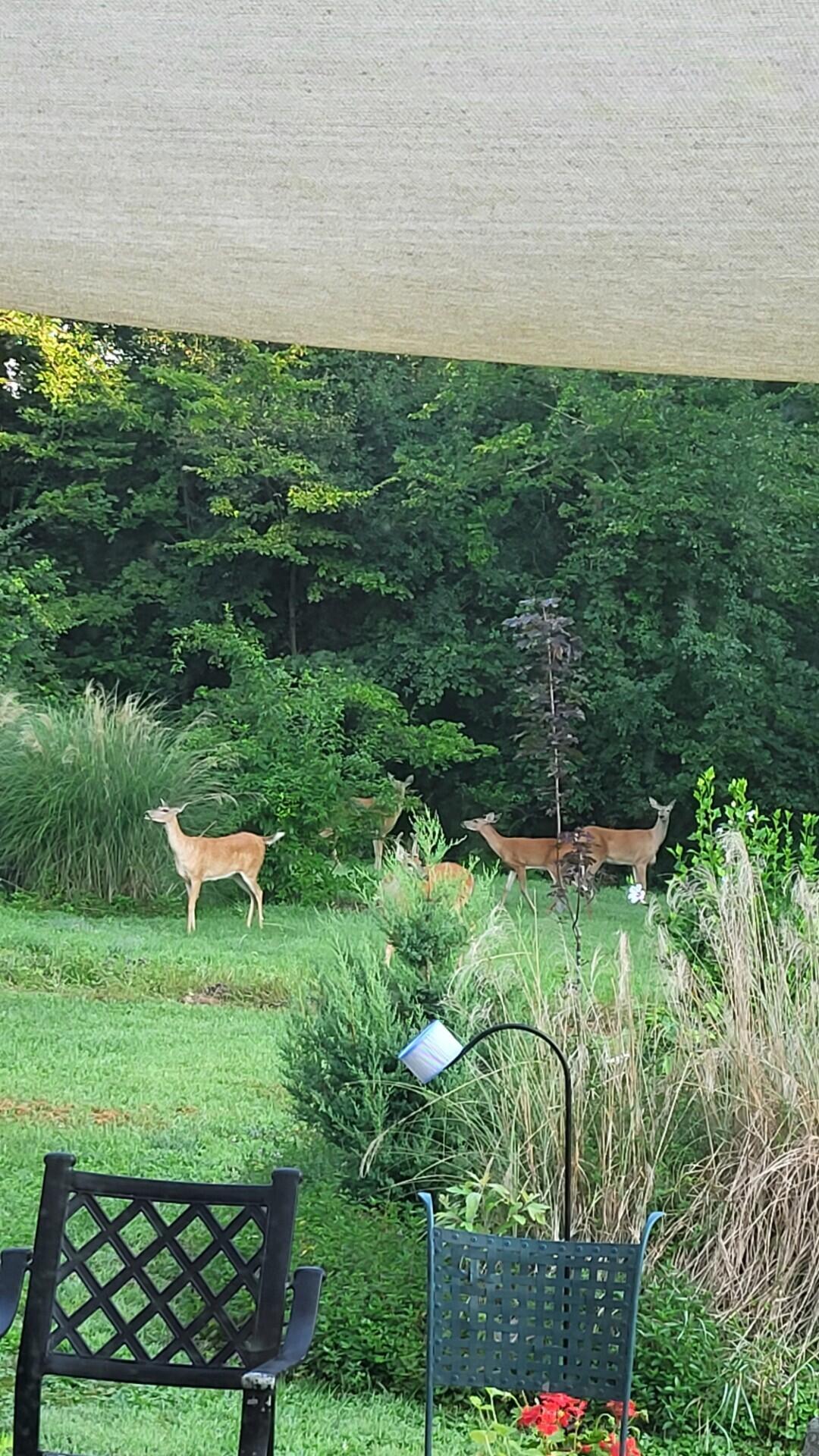 6246 Brooklyn Road Jackson, MI 49201 - Photo 65 of 72 c42bc410-939a-403d-acb0-f3675da991df