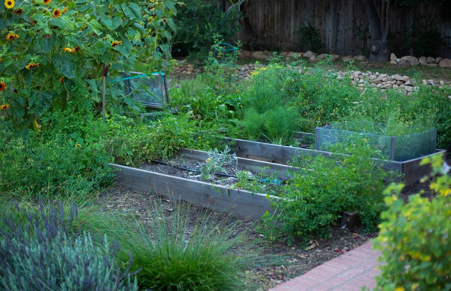 603 Palomar Road Ojai, CA 93023 - Photo 8 of 38 Gallery Image 8