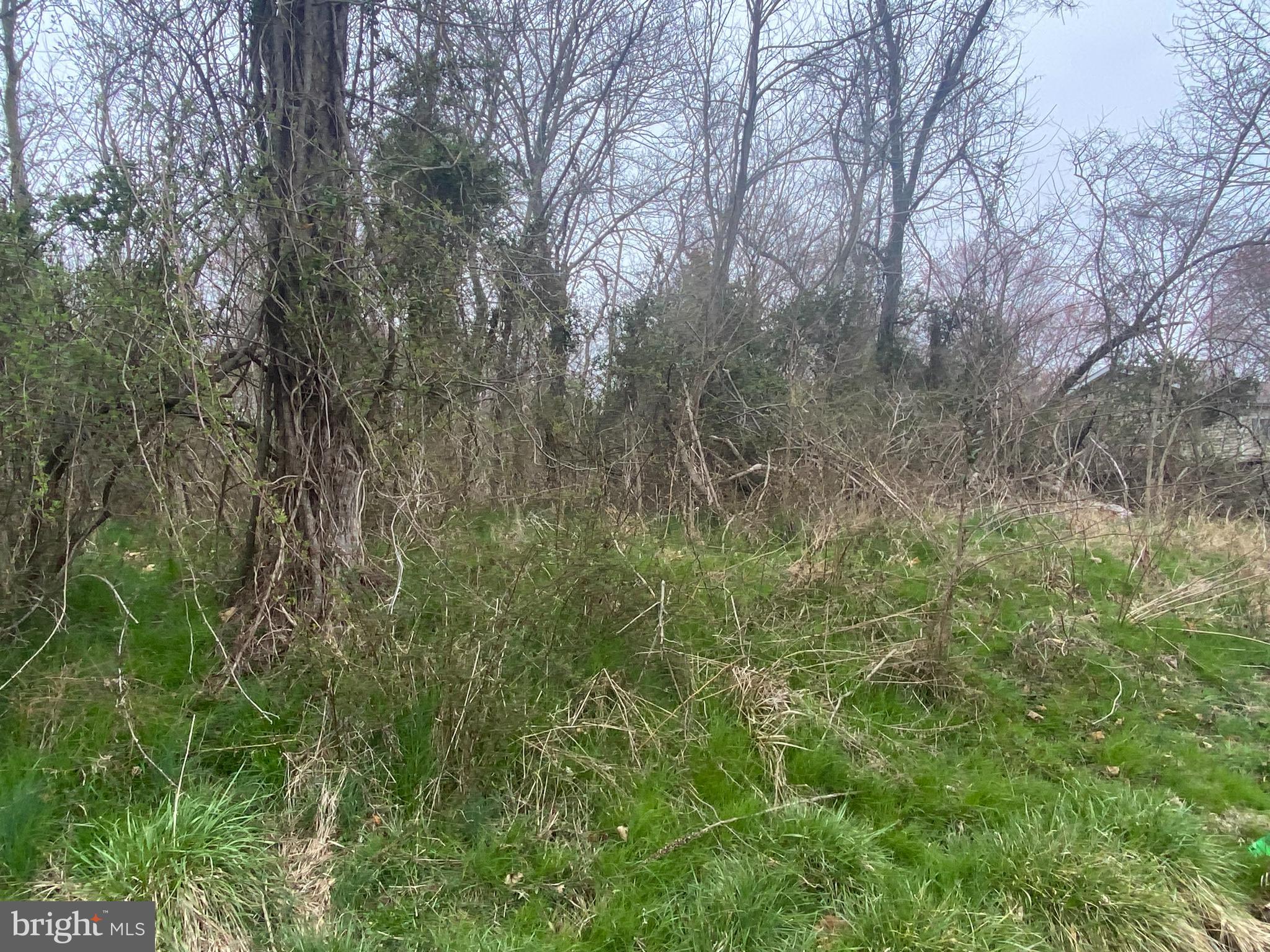 Lot 72-73 Buck Neck Road Chestertown, MD 21620 - Photo 3 of 9 Gallery Image 3