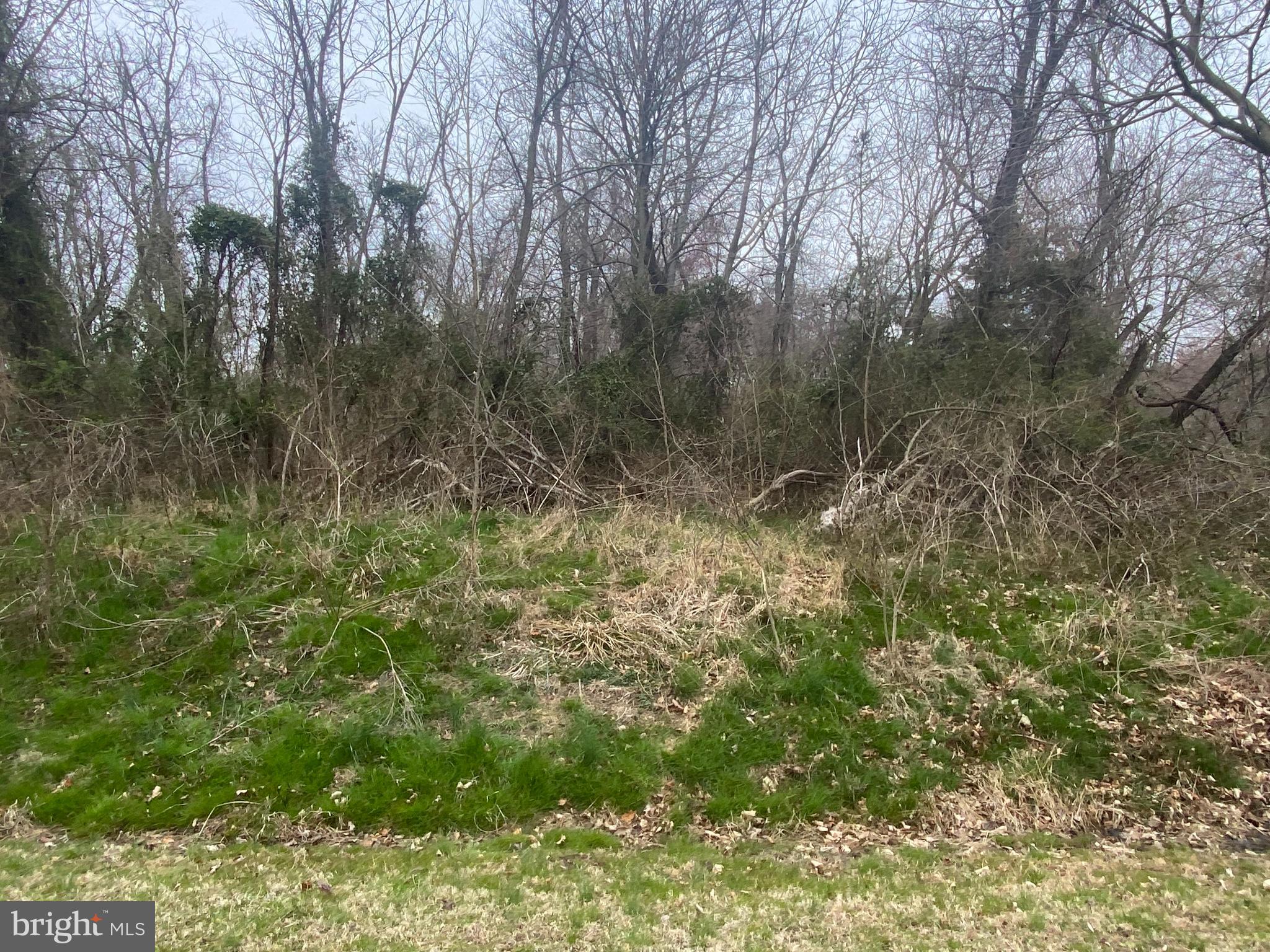 Lot 72-73 Buck Neck Road Chestertown, MD 21620 - Photo 4 of 9 Gallery Image 4