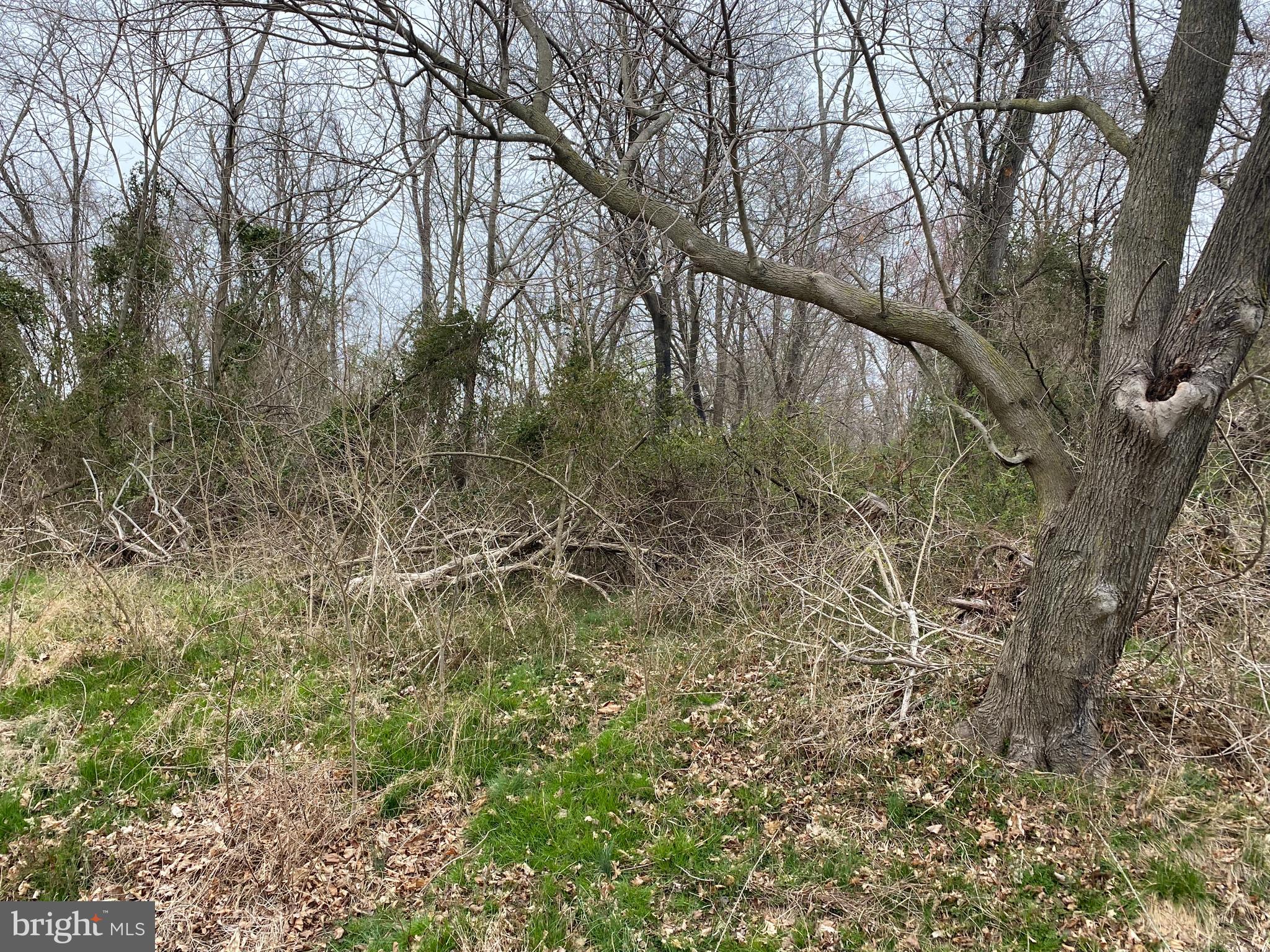 Lot 72-73 Buck Neck Road Chestertown, MD 21620 - Photo 5 of 9 Gallery Image 5