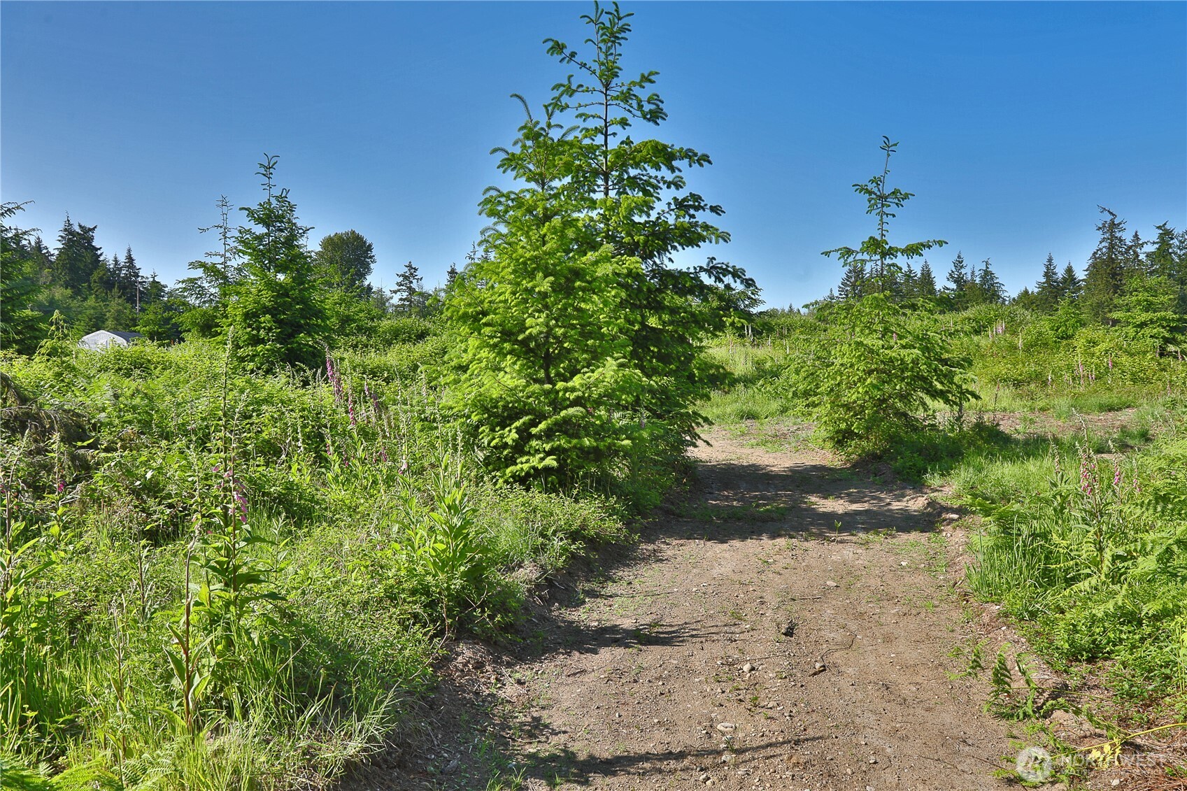 2062 East Goodell Road Freeland, WA 98249 - Photo 21 of 37