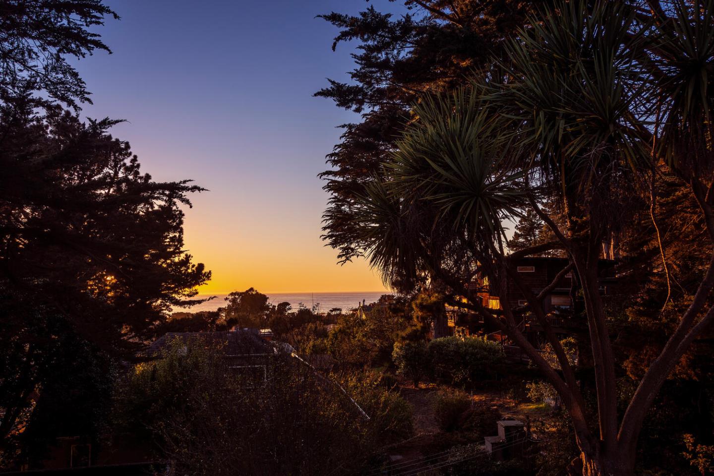 701 Canyon Drive Pacifica, CA 94044 - Photo 32 of 42 a view of a tree in a yard