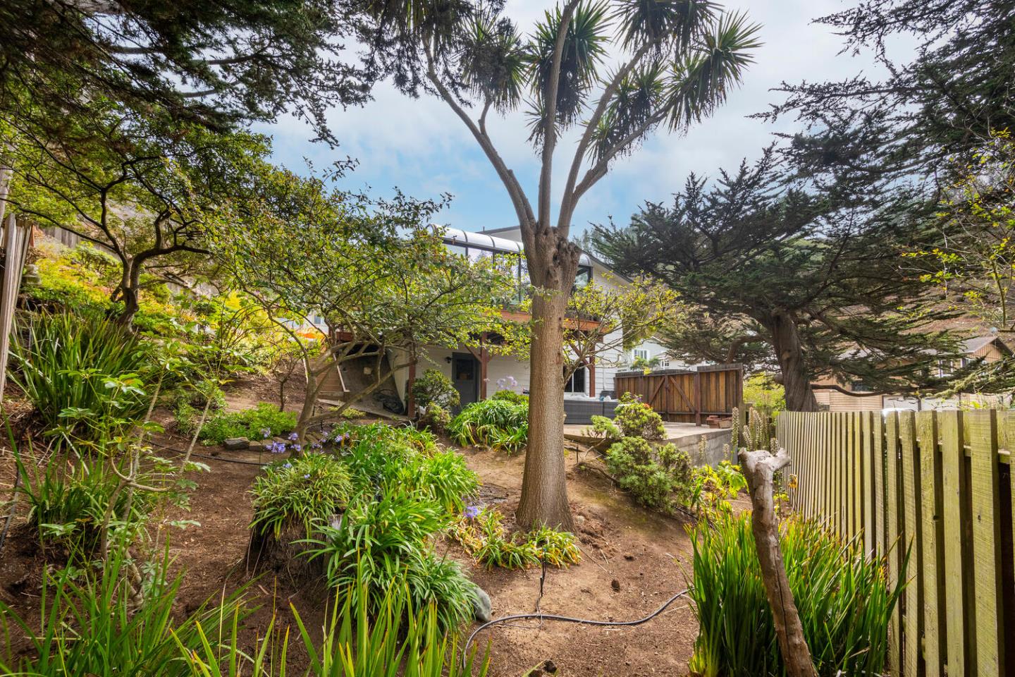 701 Canyon Drive Pacifica, CA 94044 - Photo 36 of 42 a view of yard with green space