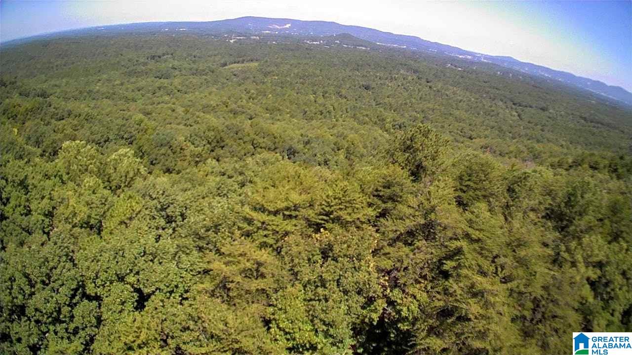 2565 Kentuck Road, Unit 4569 Oxford, AL 36203 - Photo 3 of 46