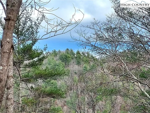 a view of a yard of the house