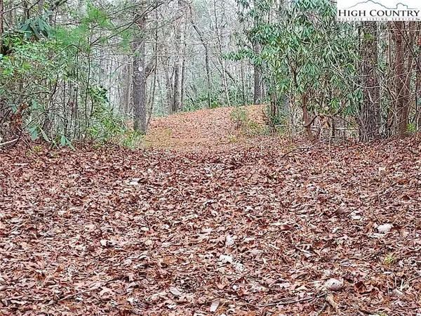a view of a yard with plants and trees