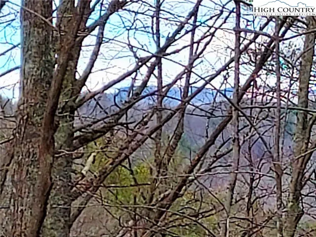 a backyard of a house with lots of trees