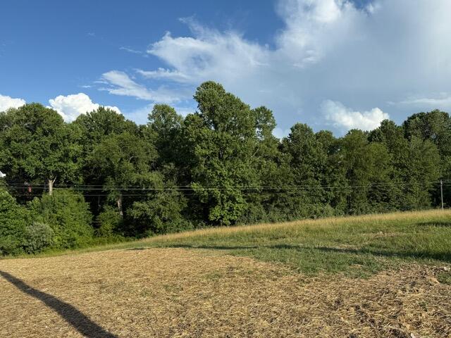 4527 Keavy Road London, KY 40744 - Photo 8 of 22 image9