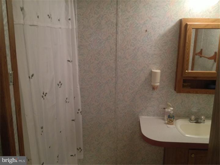 301 Bordic Road Reading, PA 19606 - Photo 8 of 15 Bathroom
