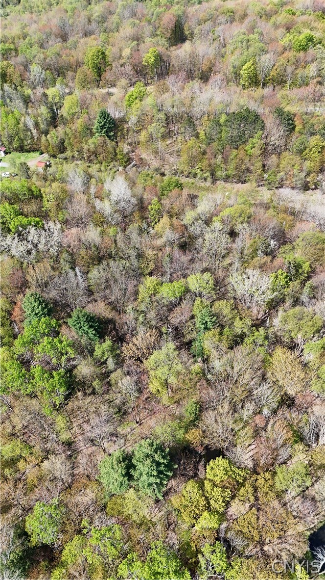 11470 River Road Florence, NY 13316 - Photo 8 of 13