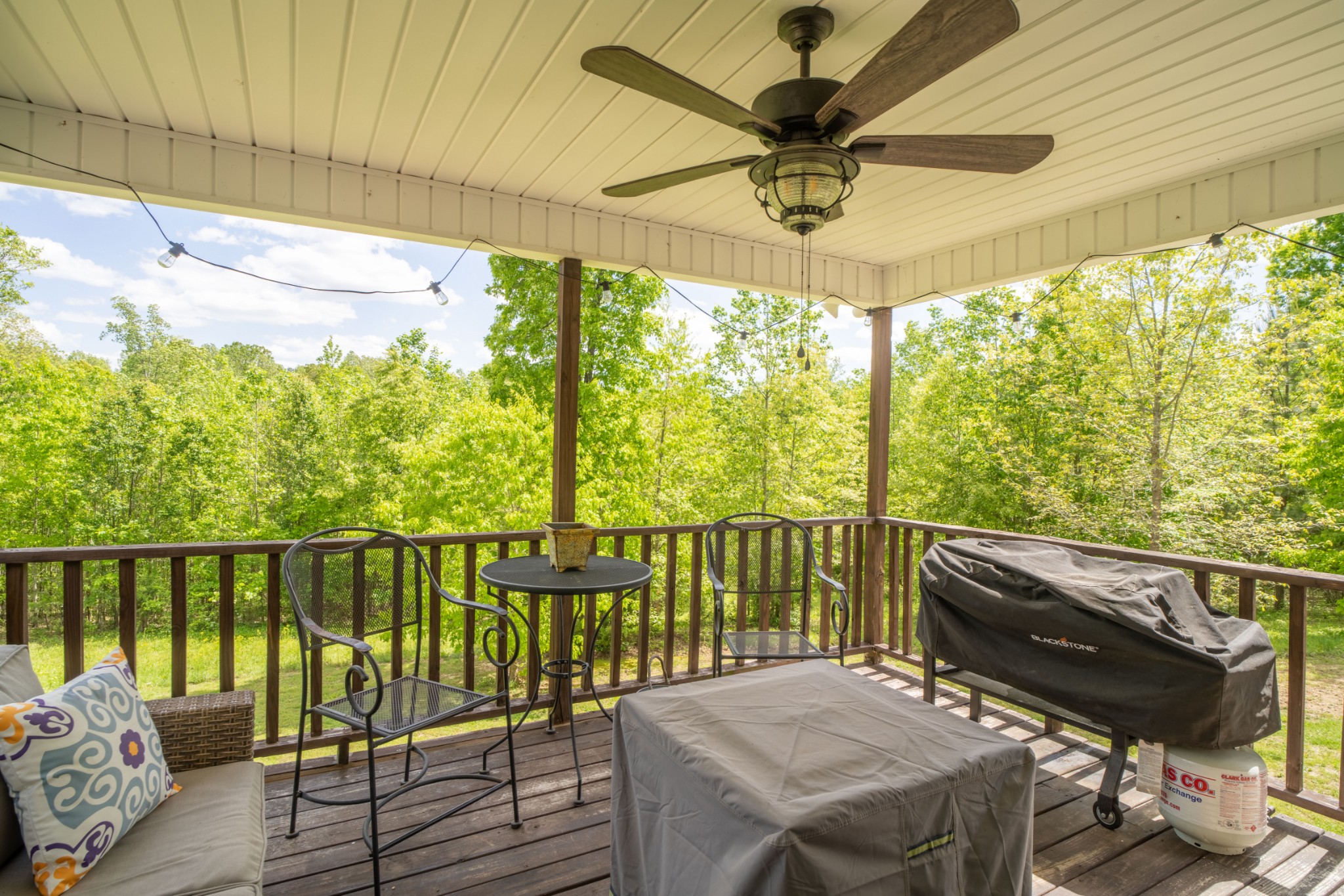 98 Shannon Road Leoma, TN 38468 - Photo 6 of 48 Gallery Image 6