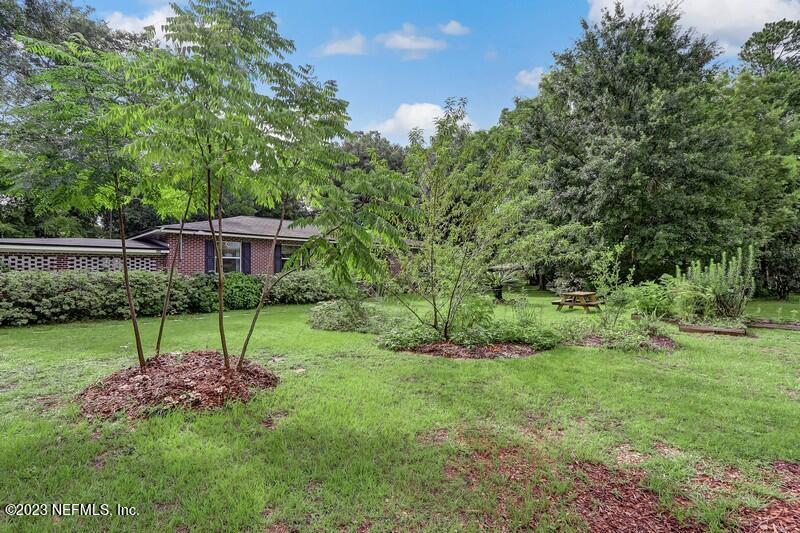 10852 Wingate Road Jacksonville, FL 32218 - Photo 3 of 45 Sue Wilson Photography Jacksonville (44)