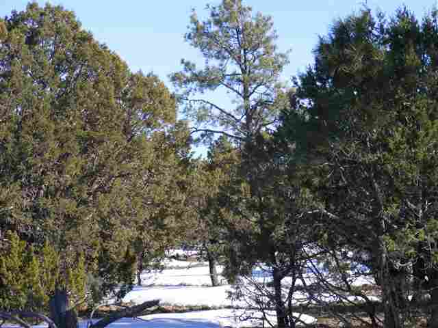 Lot 20 Off C R 3140 Vernon, AZ 85940 - Photo 6 of 8