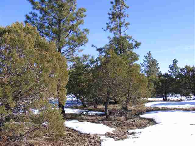 Lot 20 Off C R 3140 Vernon, AZ 85940 - Photo 7 of 8