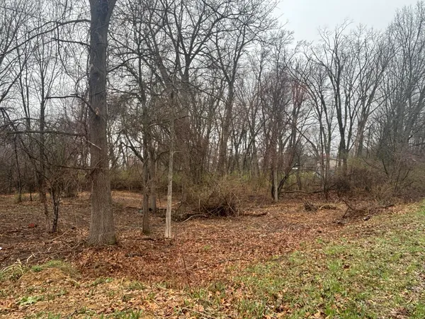 $59,900 | V/l Mirror Drive, Jerome, MI 49249