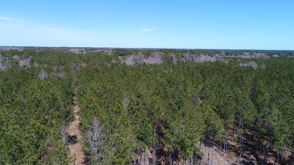 0 Drummondtown Road Accomac, VA 23301 - Photo 11 of 50
