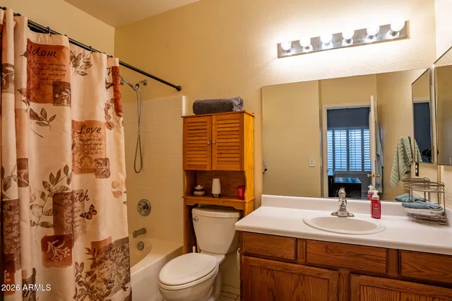 a bathroom with a sink toilet vanity and shower