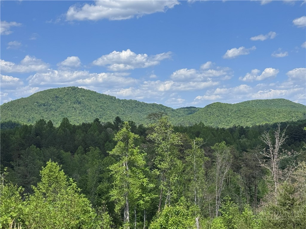 4229 Grandin Road Lenoir, NC 28645 - Photo 36 of 46 Gallery Image 36