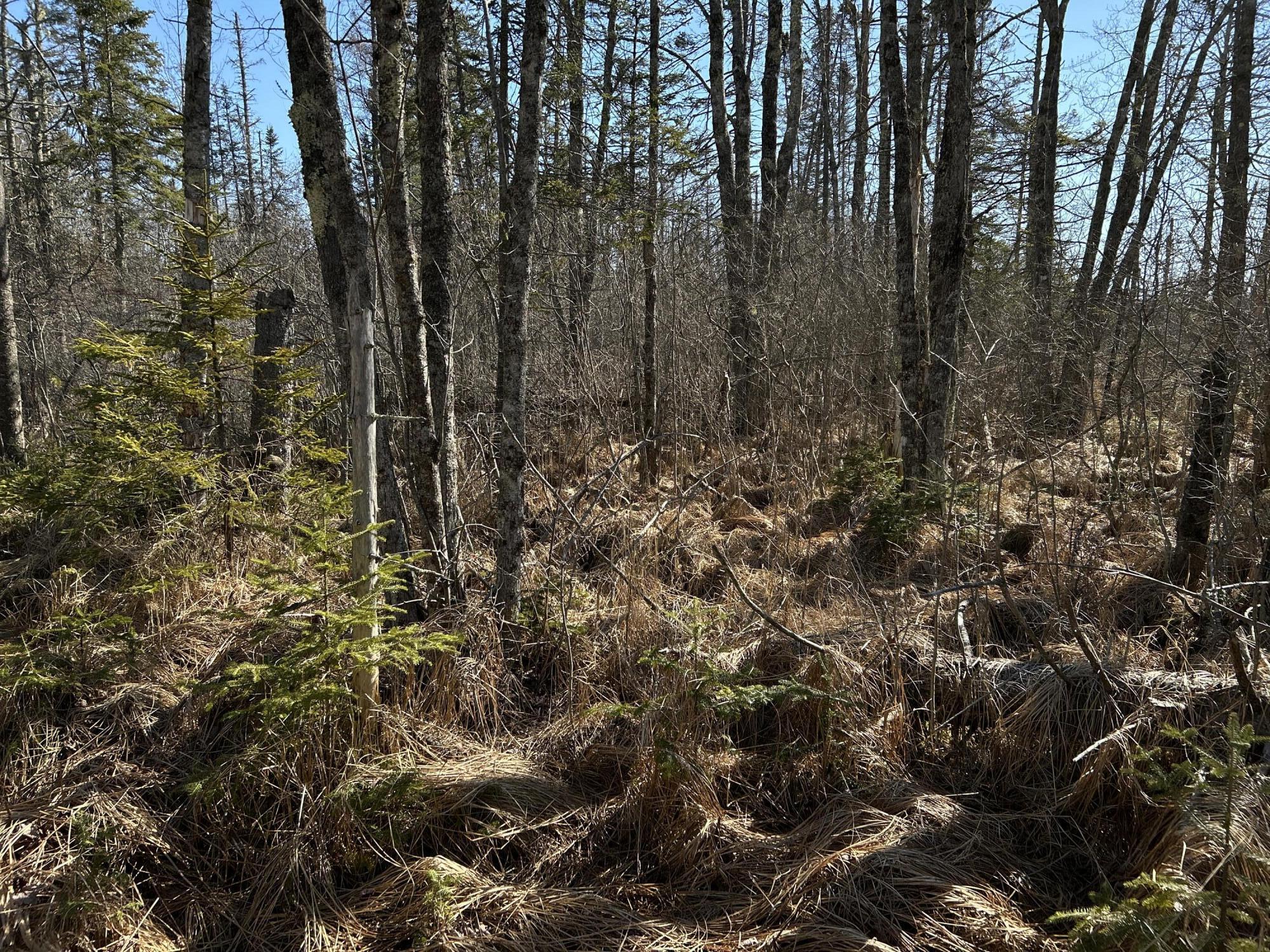 365 Cushing Road Cushing, ME 04563 - Photo 11 of 32 9